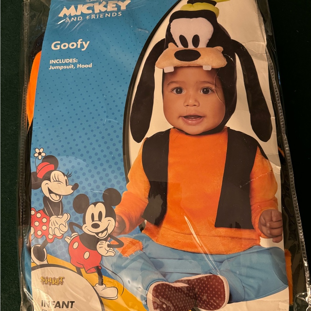 Goofy costume